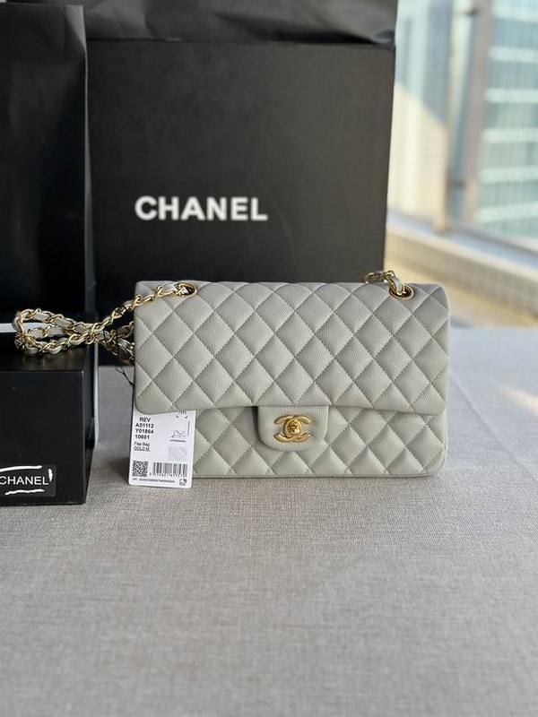 Chanel Handbags 310